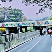 來深圳中心公園逛逛啦