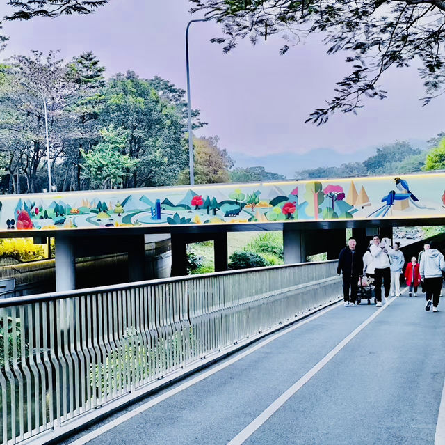 來深圳中心公園逛逛啦
