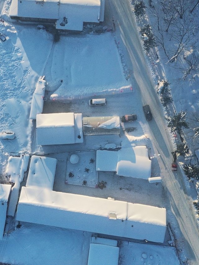 從雪谷穿越雪鄉，正確打開林海雪原的旅行方式