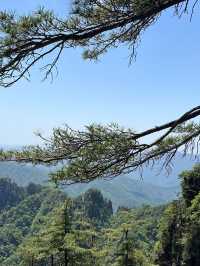 洛陽2日遊 精華全在這別錯過
