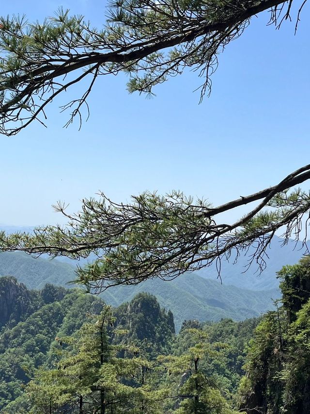 洛陽2日遊 精華全在這別錯過