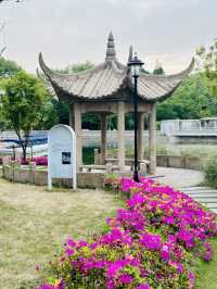 城市肺腑中的美麗畫卷| 中山公園