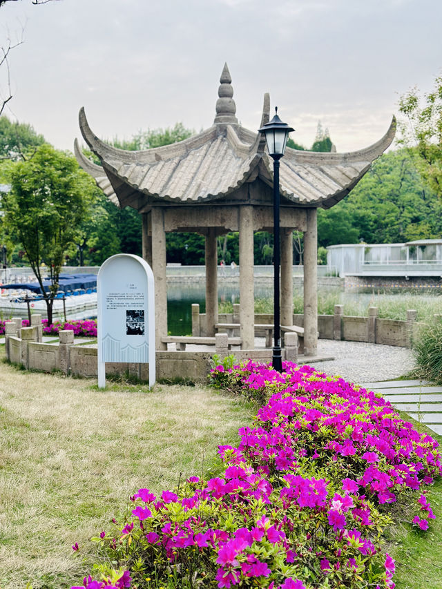 城市肺腑中的美麗畫卷| 中山公園