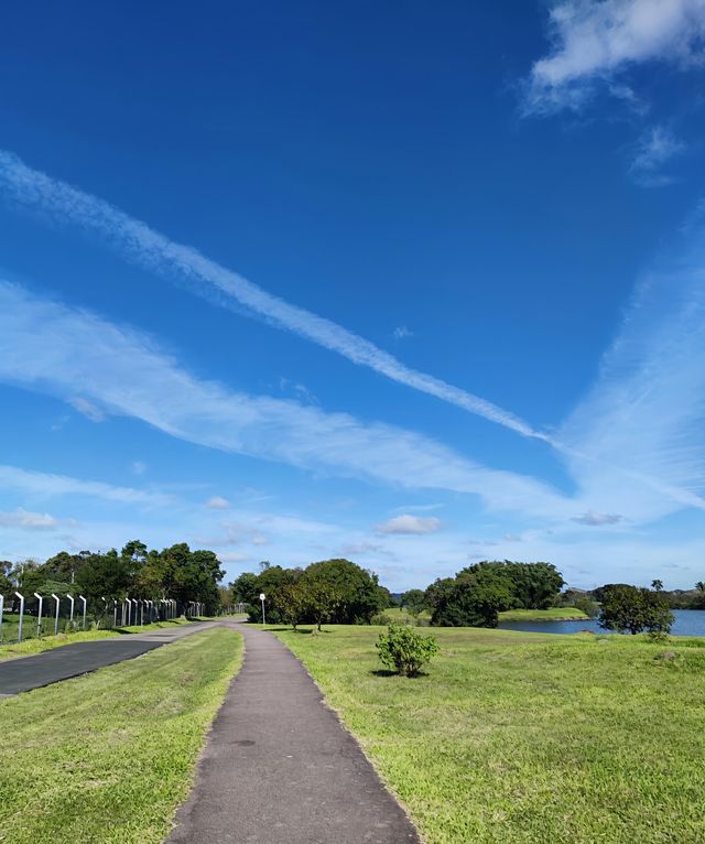 探秘巴里吉公園｜庫里提巴的綠色寶藏與水豚的慵懶風情