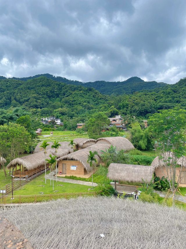冬日五指山旅遊攻略 看這篇就夠啦