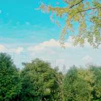 "我在桂溪生態公園待了20分鐘，居然發生了這種變化！"