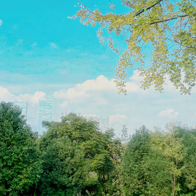 "我在桂溪生態公園待了20分鐘，居然發生了這種變化！"