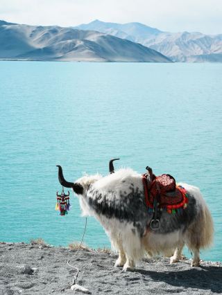 3-Day Tour of Kashgar and the Pamirs: Unmissable Sights
