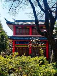 麗江木府