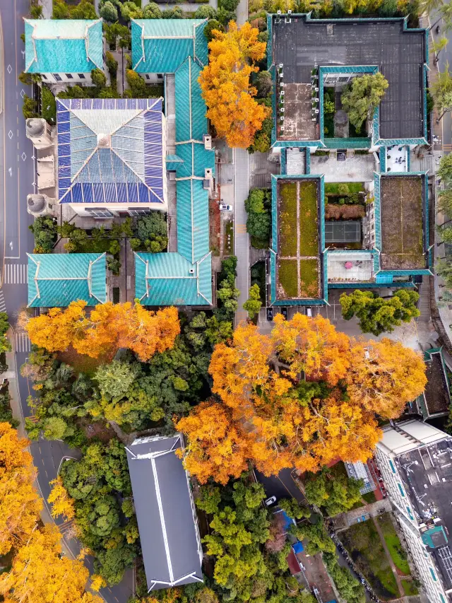 Wuhan - Yellow Crane Tower - East Lake Exploration Unlock a Millennium Journey Through History