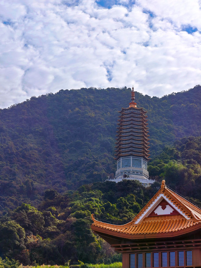 🏯 深圳的心靈淨土 - 弘法寺 🏯