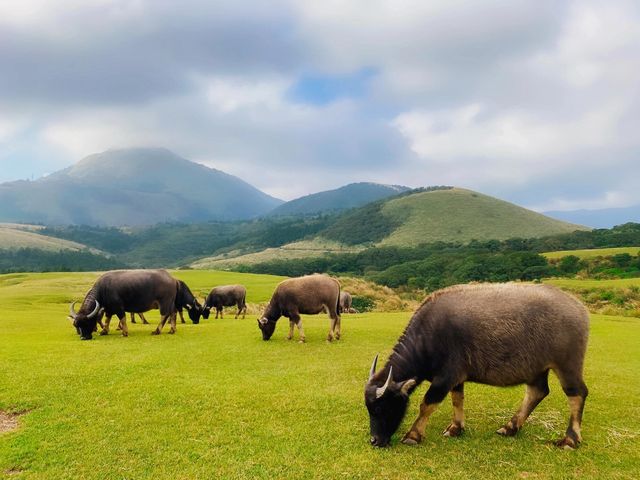 【台北食住行旅遊攻略】