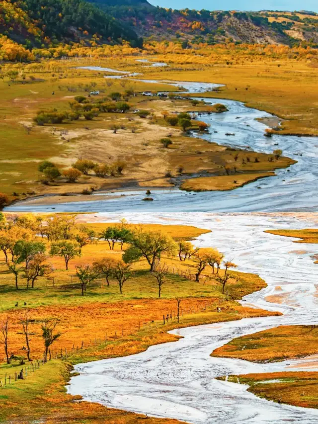 【허베이 바상 초원｜도시를 벗어나 마음의 해방을 경험하세요】