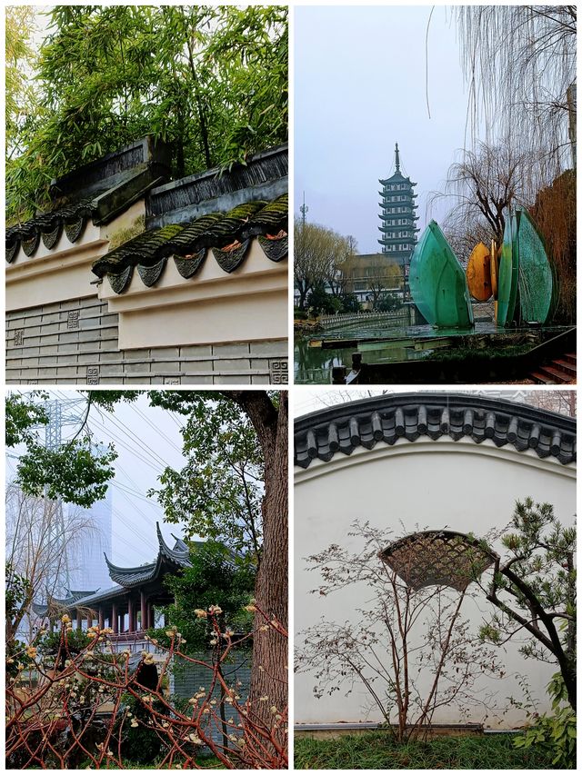 在真如公園遇見「梅」好—踏雨尋梅