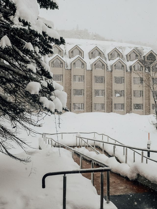 北海道開板一價全包的Club Med真的太吸引啦！