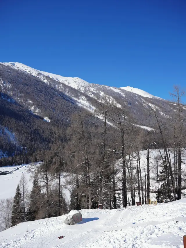 Winter Vacation Urumqi-Kanas-Turpan Skiing Guide