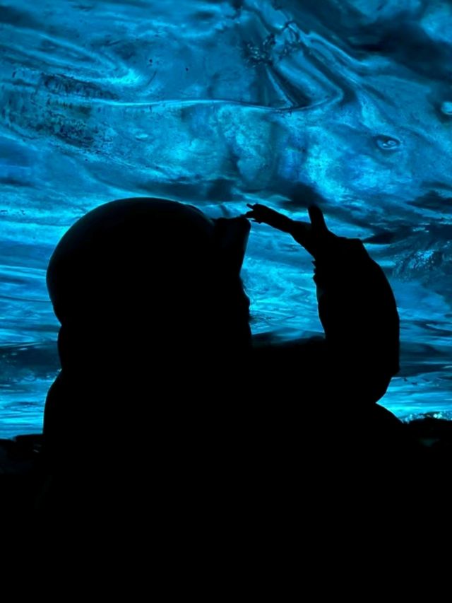 Glacier Adventure Blue Iceland Cave Check-in ❤️