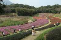 恩上濕地公園