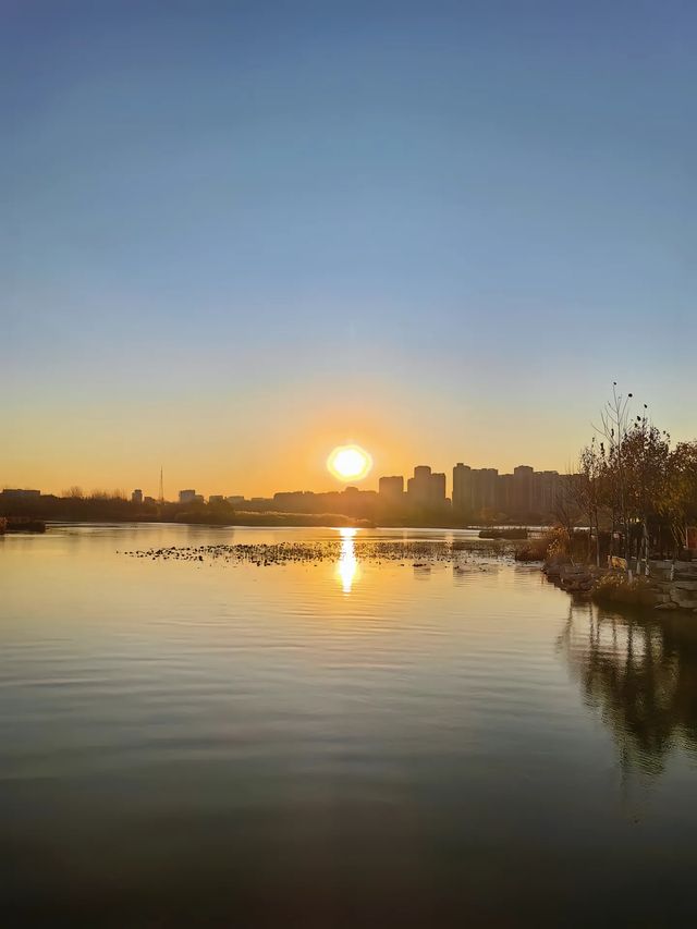江北水城  運河之都——山東聊城