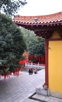 湖南岳陽聖安寺 | 願心所願，皆能如願