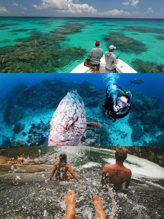 深入雨林秘境|2025北昆行程攻略