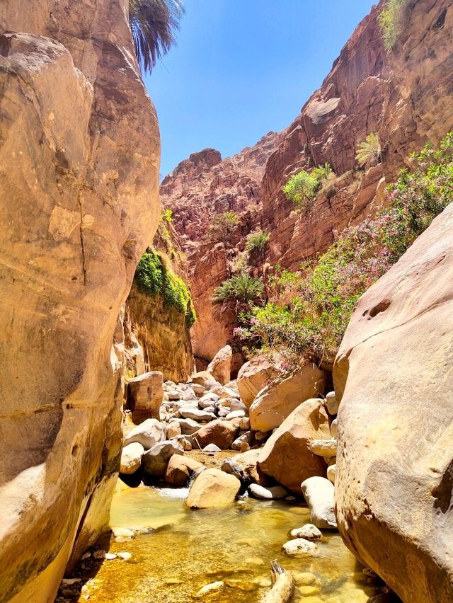 Wadi Ghuweir Oasis: A Hidden Gem in Jordan 🌿✨