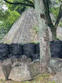 日本6天深度遊 超實用攻略必收藏