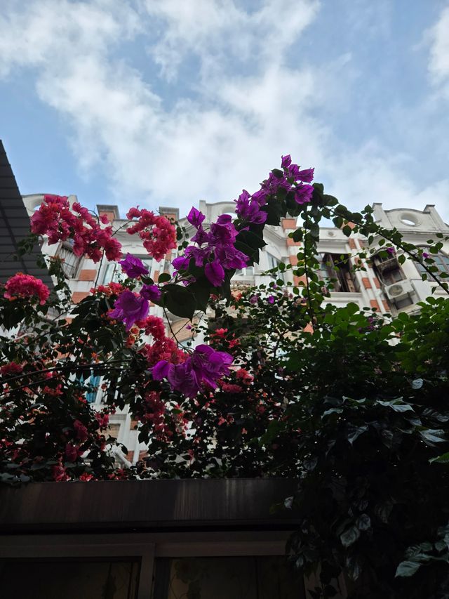 東山再起風雲動