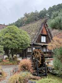 帶娃遊日本 溫泉之旅不容錯過