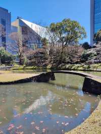東京櫻花｜小石川後樂園的古老垂枝櫻