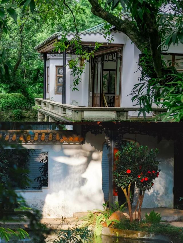 廣州的春天已經綠意盎然簡直美翻
