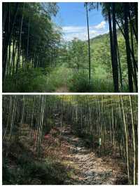 章里古道空氣清新氧氣充足快來吸氧