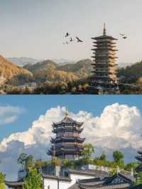 衢州之旅已結束，說點真心話。