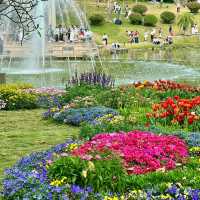 廣州雲台花園｜絕美花海打卡攻略！