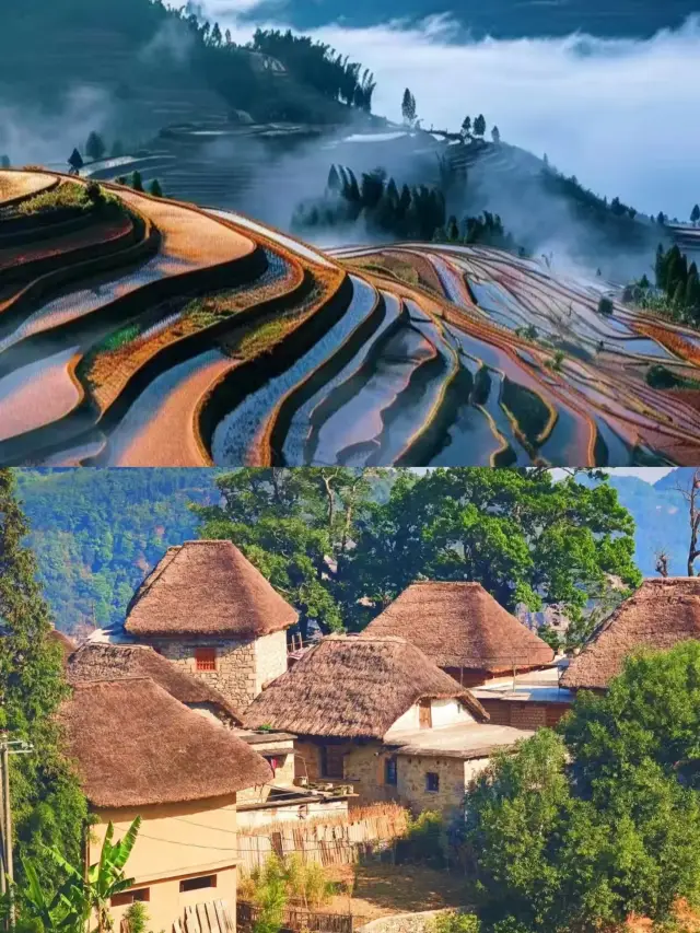 Back from Yuanyang, sharing some honest insights.