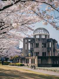 赴廣島之約，共賞四日櫻花爛漫
