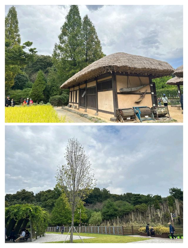 秋天一定要去的韓國富川，美翻了！