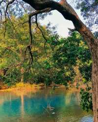 阿布加魯姆自然保護區（Abu Galum Nature Reserve）——紅海秘境探險之旅 