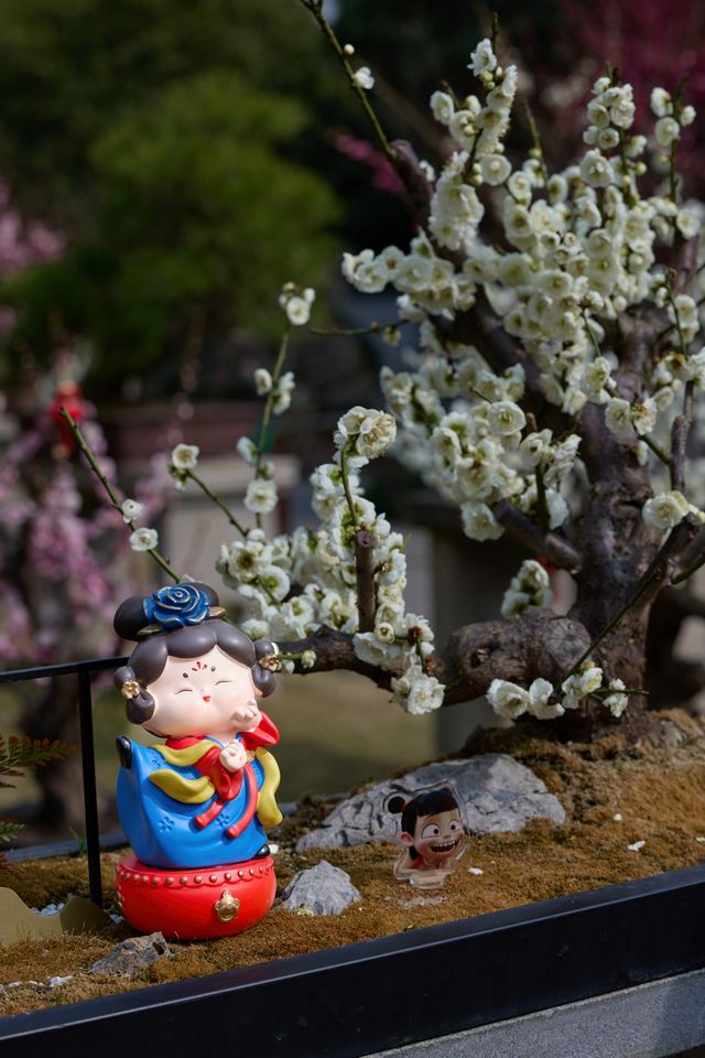 上海賞梅保姆級攻略