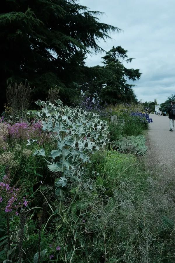 Discover the Summer Beauty of Kew Gardens