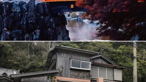 Discover Owase: A Magical Journey to a Hidden Gem in Japan — traveler post in Owase