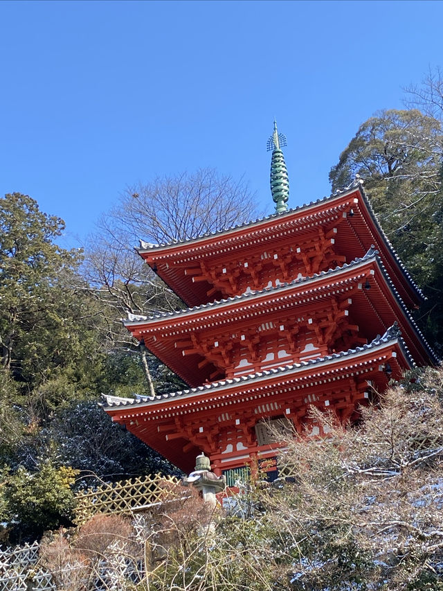 大雪紛飛金華山