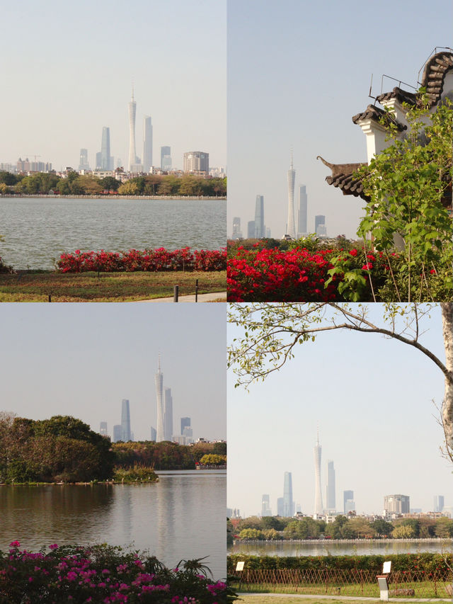 🪴廣州海珠湖公園的春天太好拍啦～