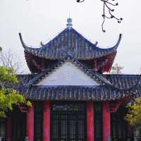 誤入嶺南春色,邂逅靜謐時光🌿中山公園漫步