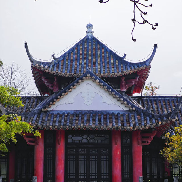 誤入嶺南春色,邂逅靜謐時光🌿中山公園漫步 誤入嶺南春色,邂逅靜謐時光🌿中山公園漫步
