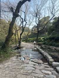 항저우의 숨겨진 보석 – 九溪十八涧과 龙井村