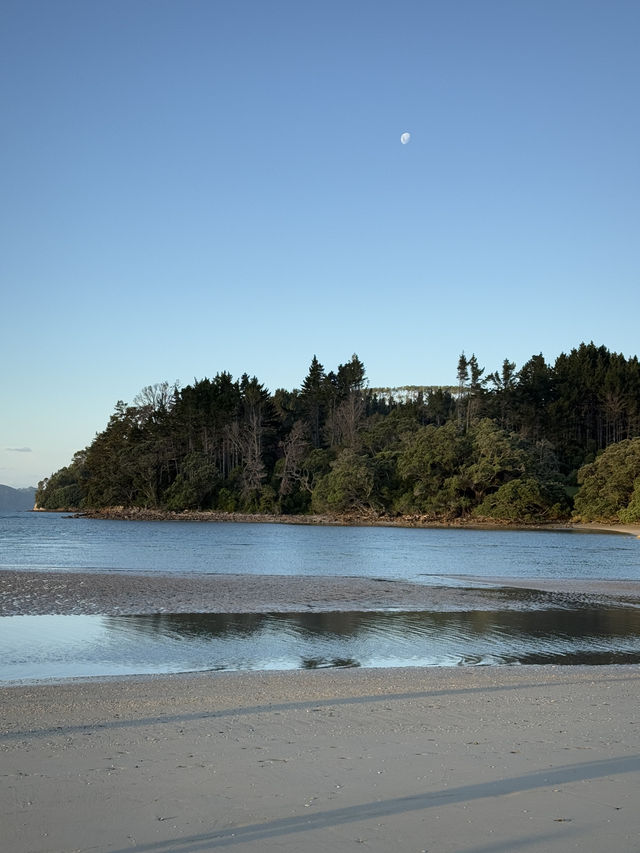 Heaven On Earth At The Coromandel, North Island NZ 