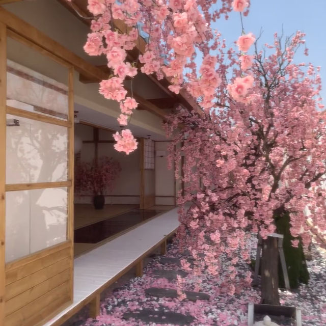 解鎖深圳新花海🎐上房揭瓦的粉色小京都🌸
