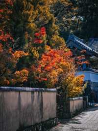 太宰府天滿宮，超級靈氣的學霸聖地✨