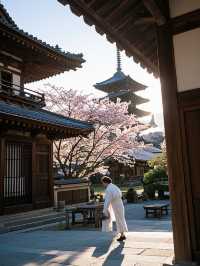 奈良櫻花四日遊：古都賞櫻全攻略